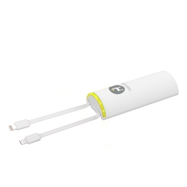 Powerbank Station 8 x 3500 mAh
